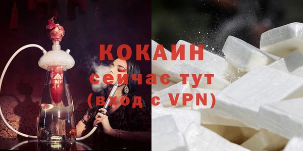 тгк Абаза