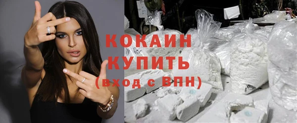 тгк Абаза
