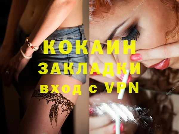 тгк Абаза