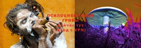 тгк Абаза