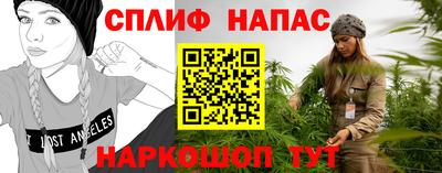 твердый Кингисепп