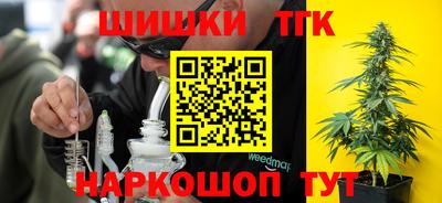 твердый Кингисепп