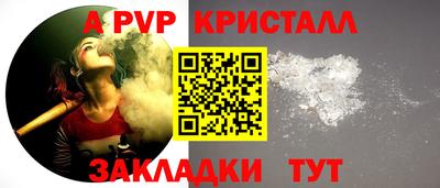 твердый Кингисепп
